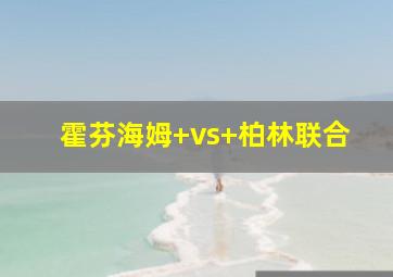 霍芬海姆 vs 柏林联合